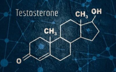 The workplace is built on testosterone. I didn’t notice it until it went away.